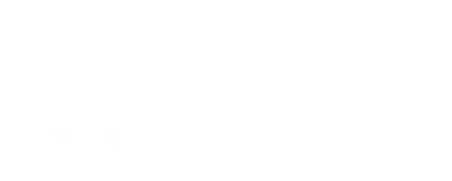 World Digital Shop